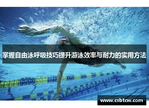 掌握自由泳呼吸技巧提升游泳效率与耐力的实用方法