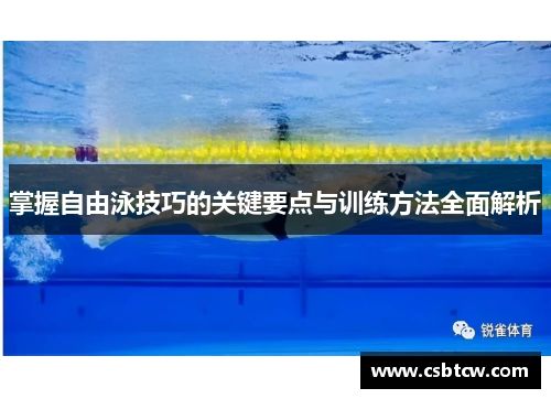 掌握自由泳技巧的关键要点与训练方法全面解析