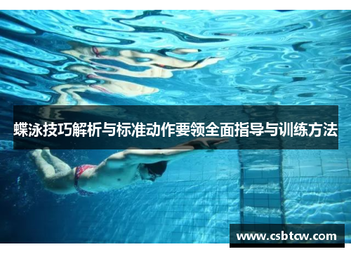 蝶泳技巧解析与标准动作要领全面指导与训练方法